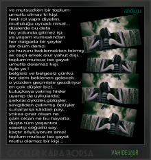 Sepet�i S���d�