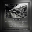 yaln�zl�k 
