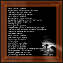 sen gideli gideli / Bedi� ( roman�ndan)