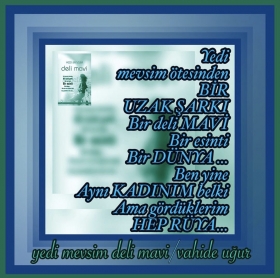 �iir Galeri / v.u�ur (2)