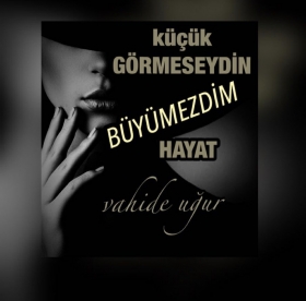 �iir Galeri / v.u�ur (3)