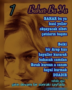 �iir Galeri / vahide u�ur