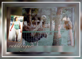 aile alb�m�  / 2000-2017 n 