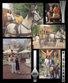 aile alb�m�  / 2000-2017  L