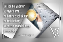 Bedia roman�ndan �iirler ~s�zler / vahideugur.com