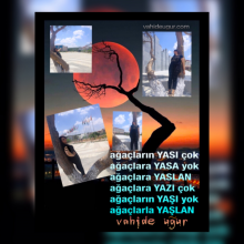 Resimlerin F�r�alad��� Duygular / vahide u�ur 