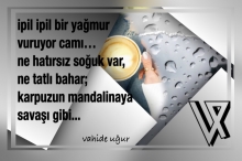 G�NCEMDEN DEMLER / vahide u�ur �ve vazge�tiklerim�vahideugur.com