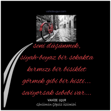 G�nl�m�n ��ps�z �z�mleri / vahideugur.com