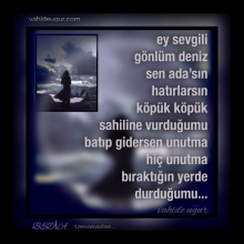 Resimlerin F�r�alad��� Duygular / vahide u�ur 