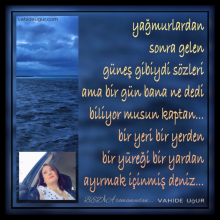 Resimlerin F�r�alad��� Duygular / vahide u�ur 