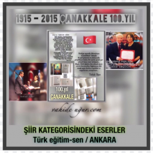 vahideugur.com galeria