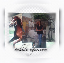vahideugur.com galeria-II