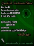 �anakkale Saadetimin Bek�isi 