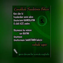 �anakkale Saadetimin Bek�isi 