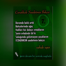 �anakkale Saadetimin Bek�isi 