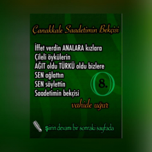 �anakkale Saadetimin Bek�isi 