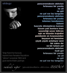 Vahide U�ur / penceremdesin oblivion 