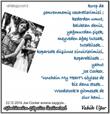 Joe Cocker an�s�na sayg�yla... / vahide u�ur 