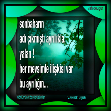 Sonbaharla ad� ��km��t� ayr�l���n / vahideu�ur 