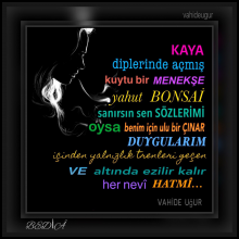 her nev� hatm�...vahideu�ur 