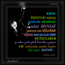 her nev� hatm�...vahideu�ur 