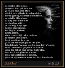 sensizlik �lkesinde...vahideu�ur 