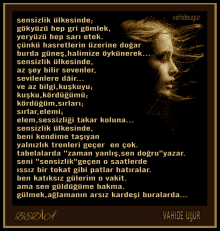 sensizlik �lkesinde...vahideu�ur 
