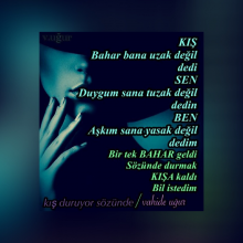 Vahide U�ur 
