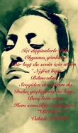 Bedia