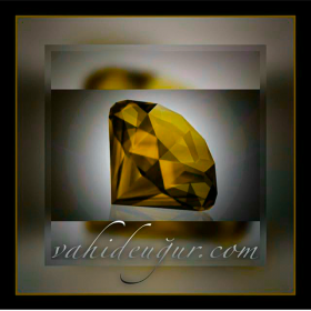 Vahide U�ur @
