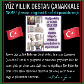 vahideugur/Vll