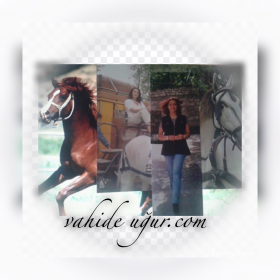 * vahide u�ur